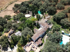 Гостиница Los Pilares de Ronda Boutique & Hotel  Ронда